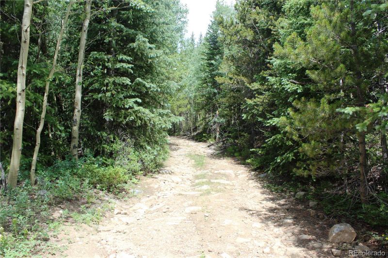 9423 Stewart Gulch Rd Lot 9423, Black Hawk, CO 80422
