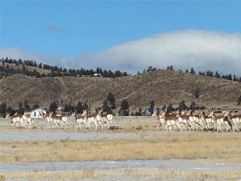 4862 Larimer Rd Lot 17, Hartsel, CO 80449