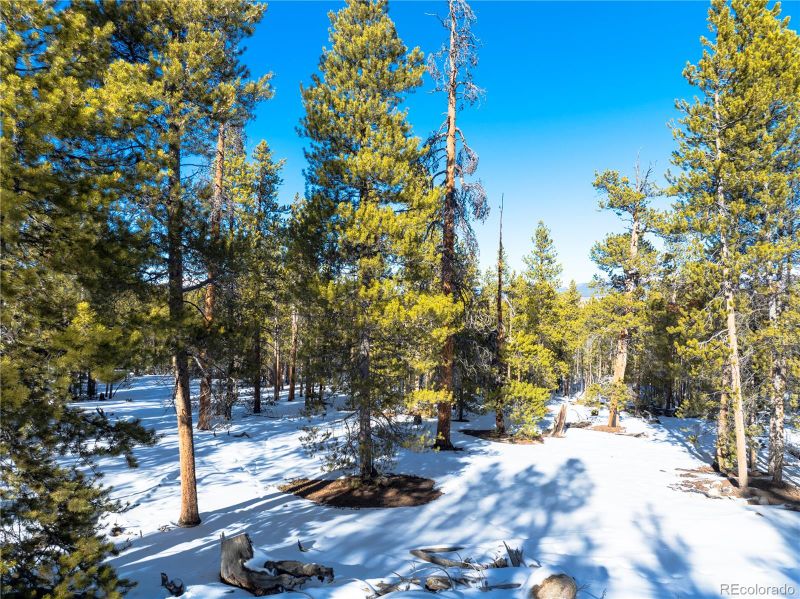 1033 Sequioa Dr, Twin Lakes, CO 81251