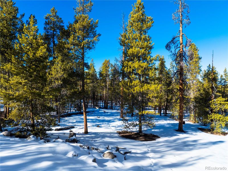 1033 Sequioa Dr, Twin Lakes, CO 81251