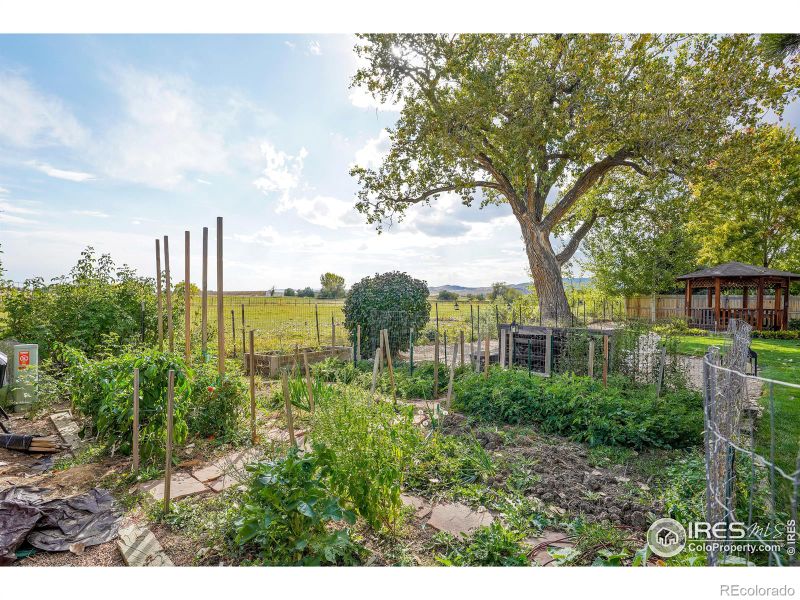 4364 Prairie Trail Dr, Loveland, CO 80537