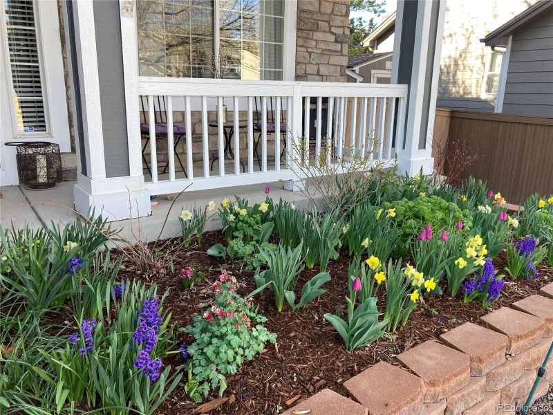 1044 English Sparrow Trl, Highlands Ranch, CO 80129