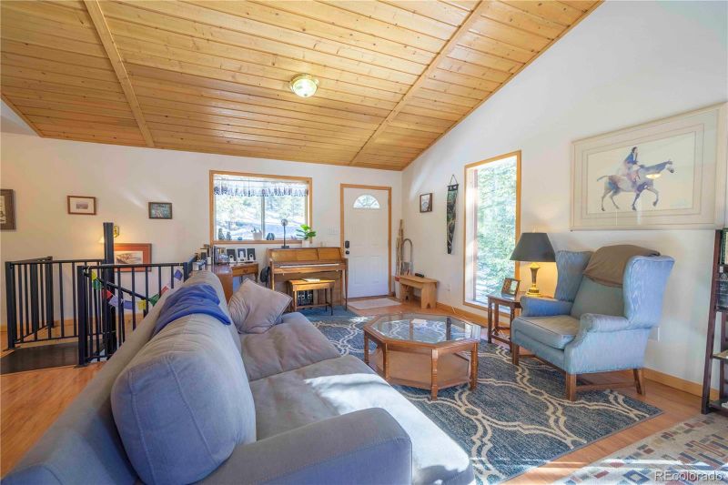 5272 Timberline Ter, Fairplay, CO 80440