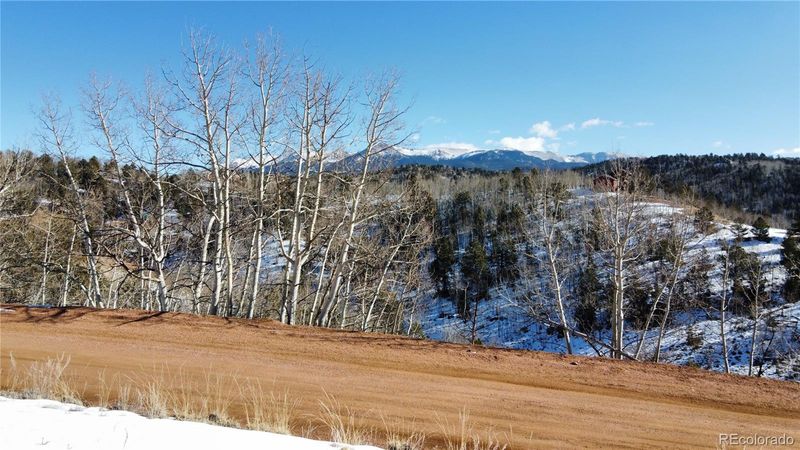 177 Golden Cycle Ct, Cripple Creek, CO 80813