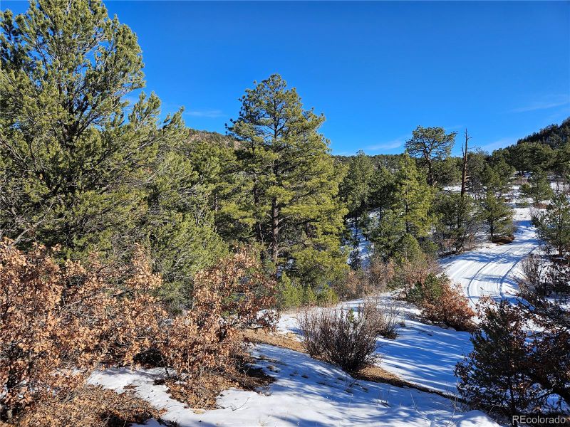 000 43rd Trl, Cotopaxi, CO 81223