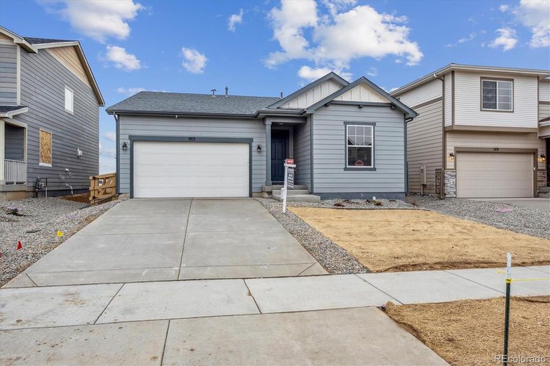 983 Rustling St, Windsor, CO 80550