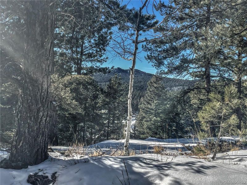 3379 Pathfinder Rd, Florissant, CO 80816