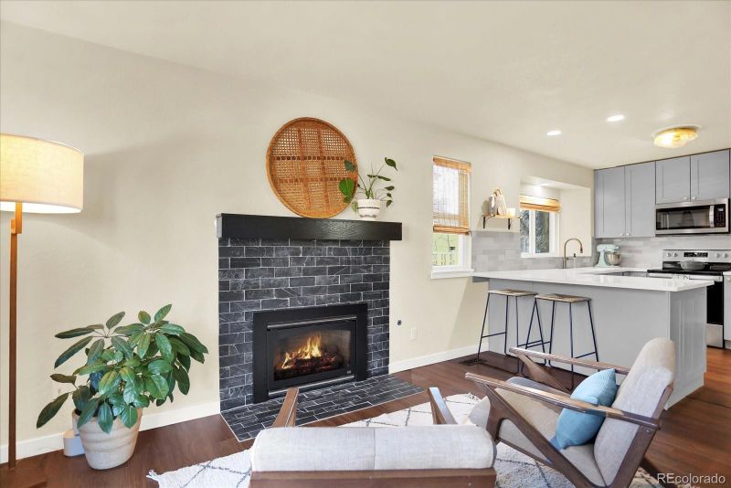 10089 Telluride St, Littleton, CO 80125