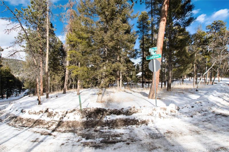 12074 Evergreen Rd, Conifer, CO 80433