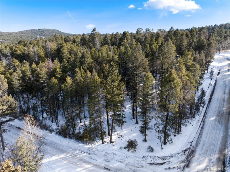 28756 Spruce Dr, Conifer, CO 80433