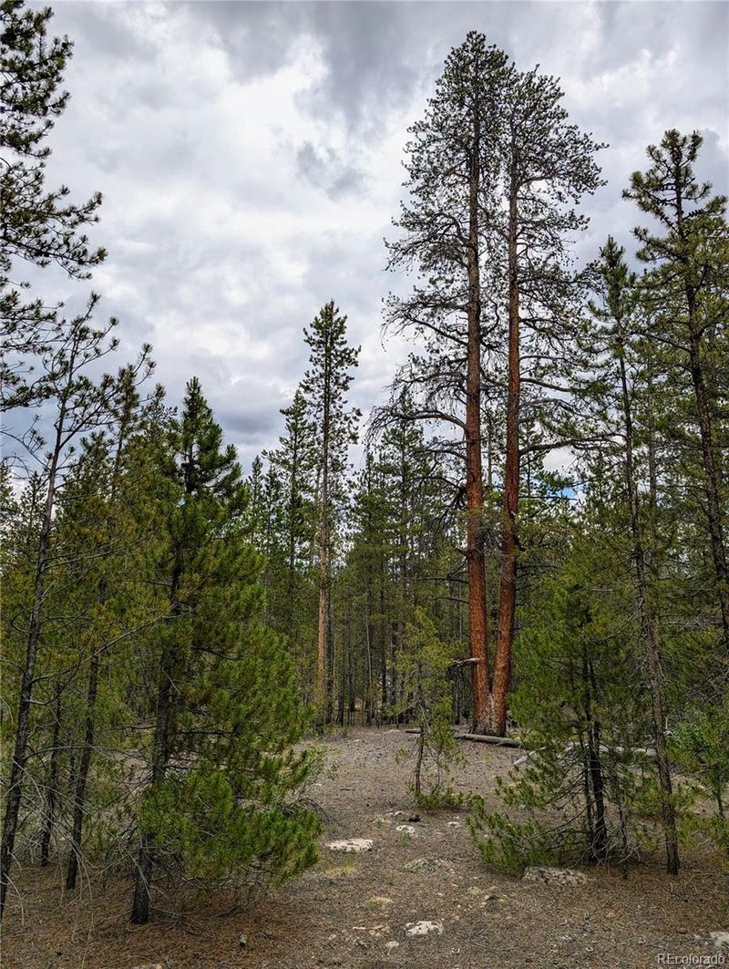 437 Juniper Dr, Twin Lakes, CO 81251