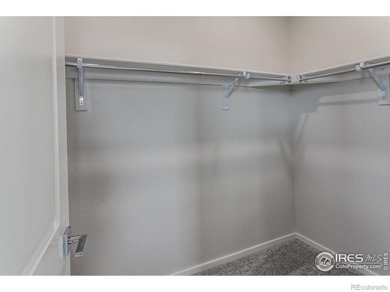 5214 Beckworth St, Timnath, CO 80547