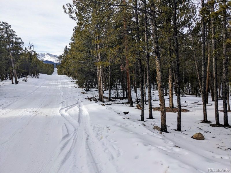 995 Sequoia Dr, Twin Lakes, CO 81251