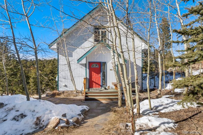 781 Cougar Rn, Nederland, CO 80466