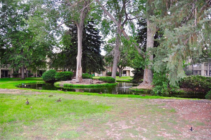 1306 S Parker Rd #185, Denver, CO 80231