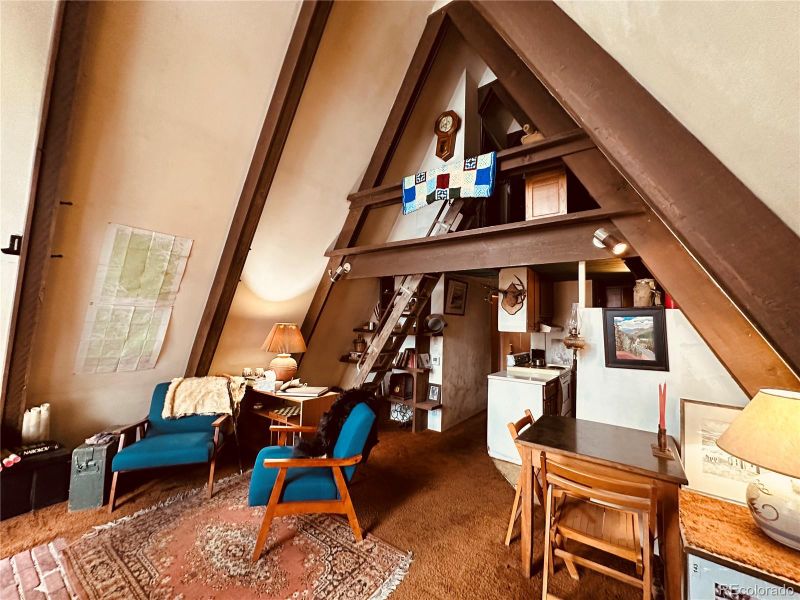 1060 Paul St, Silver Plume, CO 80476