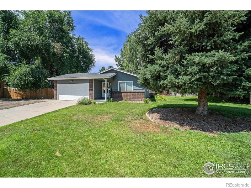 3 Cyprus Ct, Windsor, CO 80550