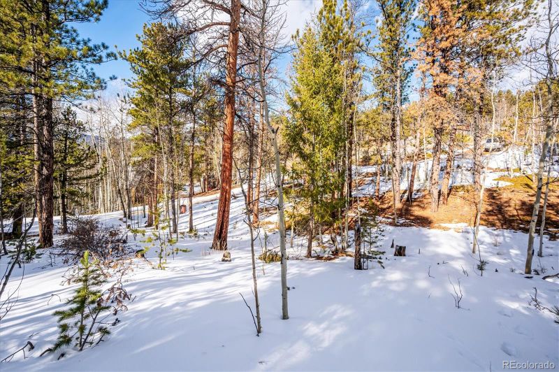 12 Hayes St Lot 27, Bailey, CO 80421