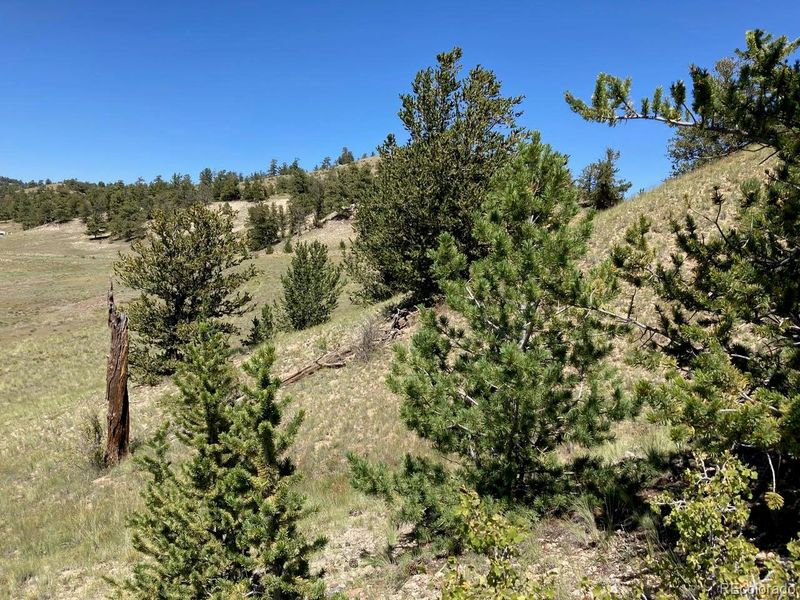 976 Cherokee Trl Lot 13, Hartsel, CO 80449