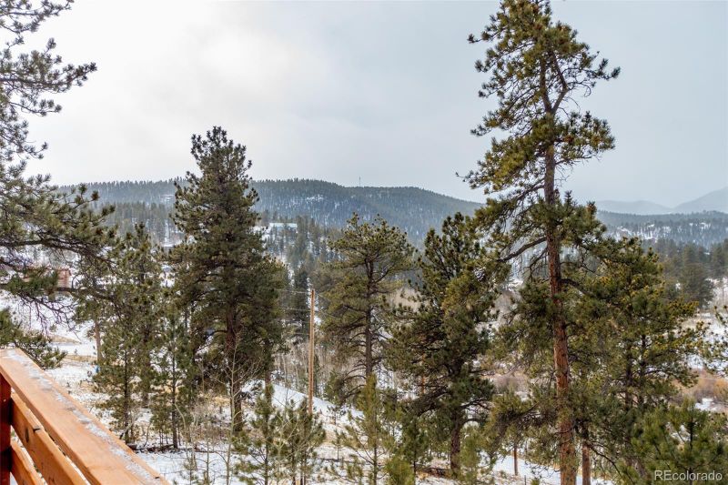 9 Overlook St, Bailey, CO 80421
