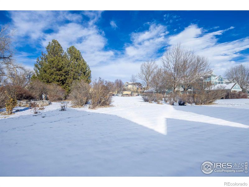 657 Snowberry St, Longmont, CO 80503