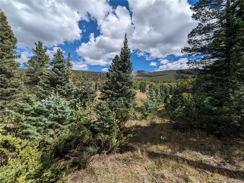 3091 Sterenson Pl, Fort Garland, CO 81133