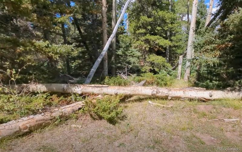 3091 Sterenson Pl, Fort Garland, CO 81133