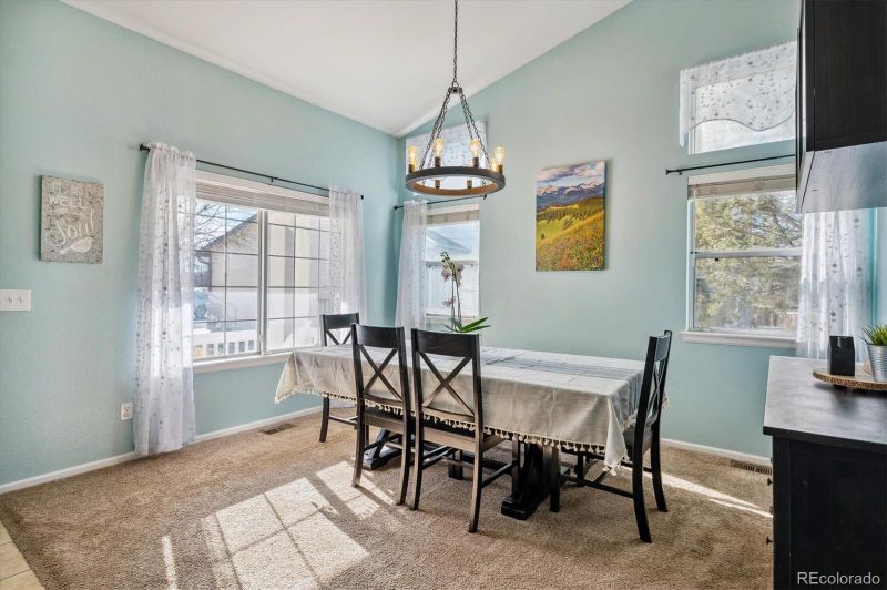 17153 Silver Mound Ln, Parker, CO 80134