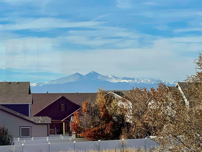 757 Lakebrook Ct, Windsor, CO 80550