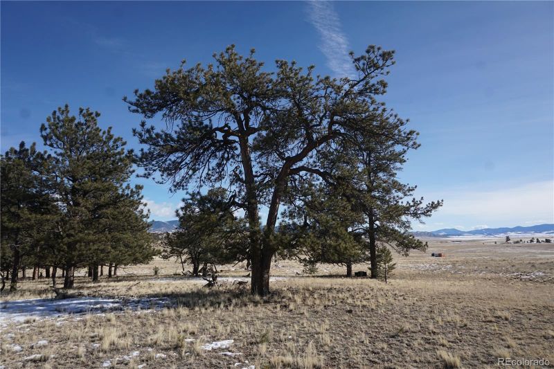 124 Boulder Rd, Hartsel, CO 80449