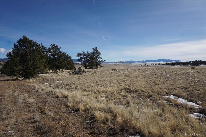 124 Boulder Rd, Hartsel, CO 80449