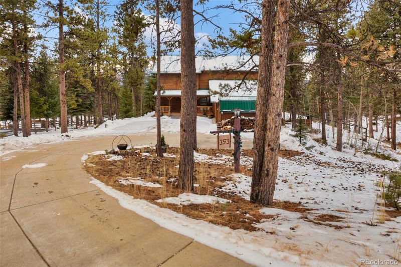 353 High View Ct, Woodland Park, CO 80863