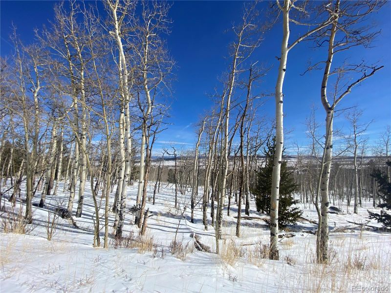 893 Lumber Jack Rd Lot 174, Fairplay, CO 80440
