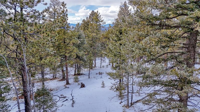 196 Rampart Cir, Florissant, CO 80816