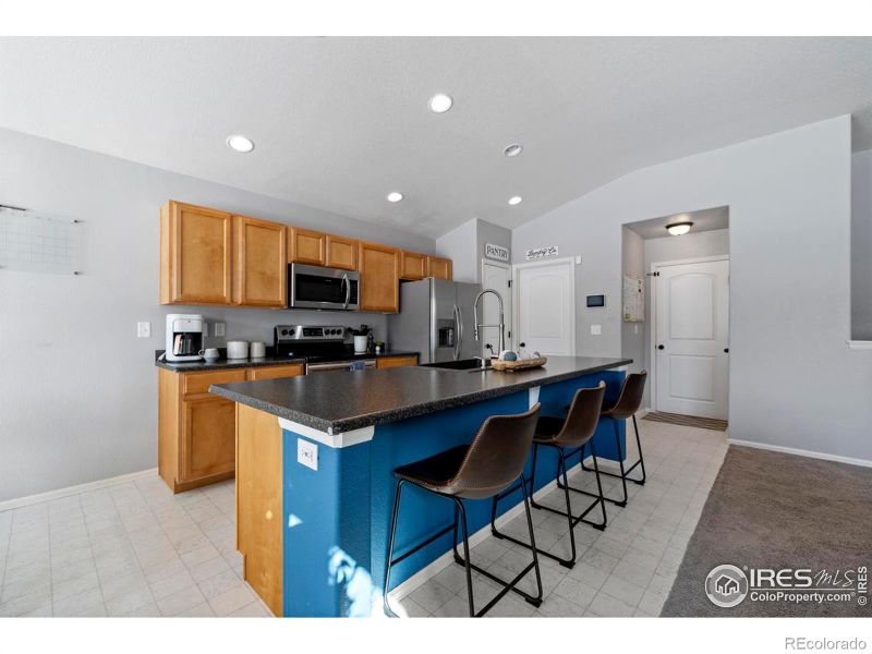 907 Barasingha St, Severance, CO 80550