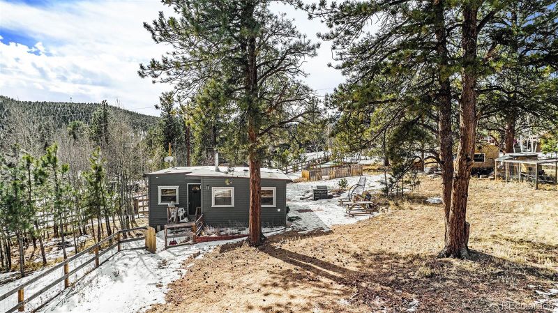 25 Harris St, Bailey, CO 80421