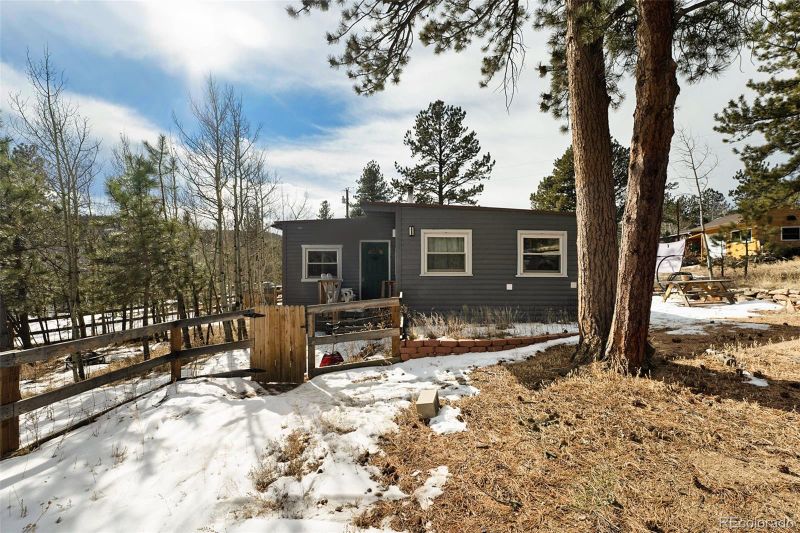 25 Harris St, Bailey, CO 80421