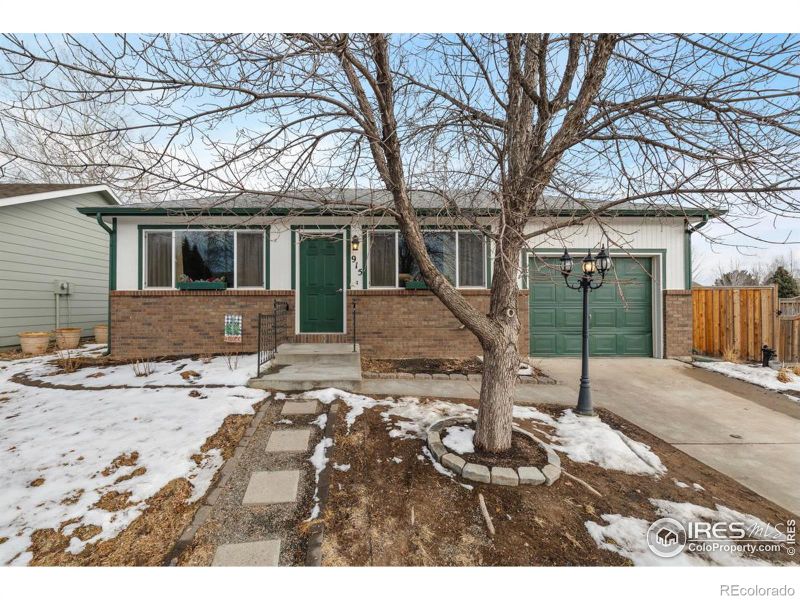 915 Canyon Ct, Windsor, CO 80550