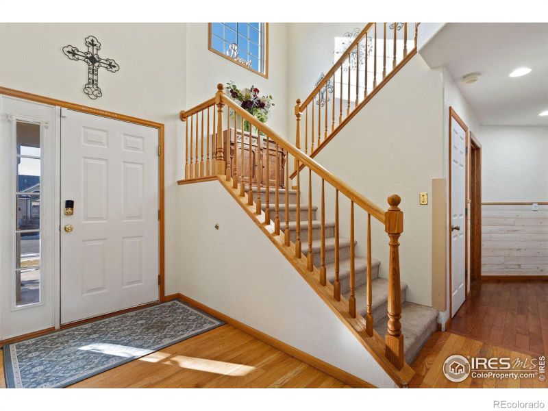 235 Sequoia Cir, Windsor, CO 80550