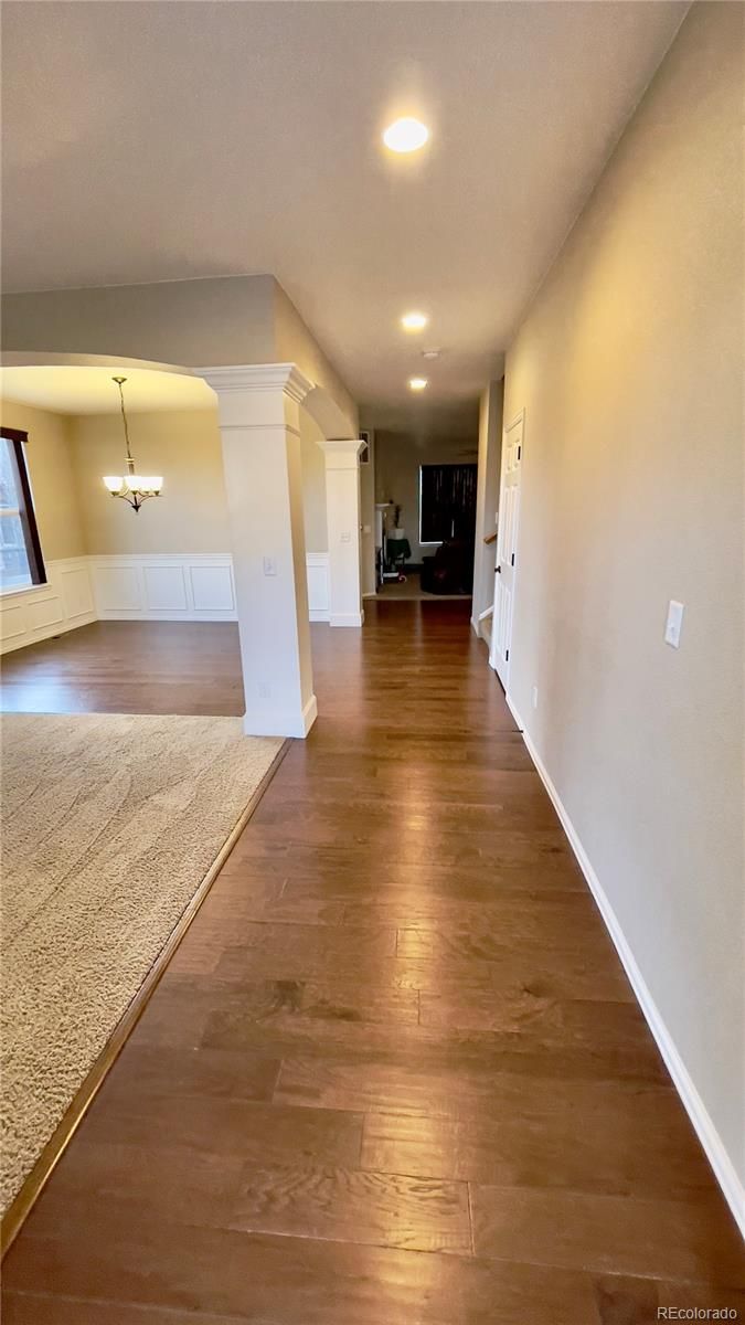 109 Siesta Key Ct, Windsor, CO 80550