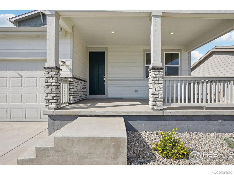 824 Hummocky Way, Windsor, CO 80550