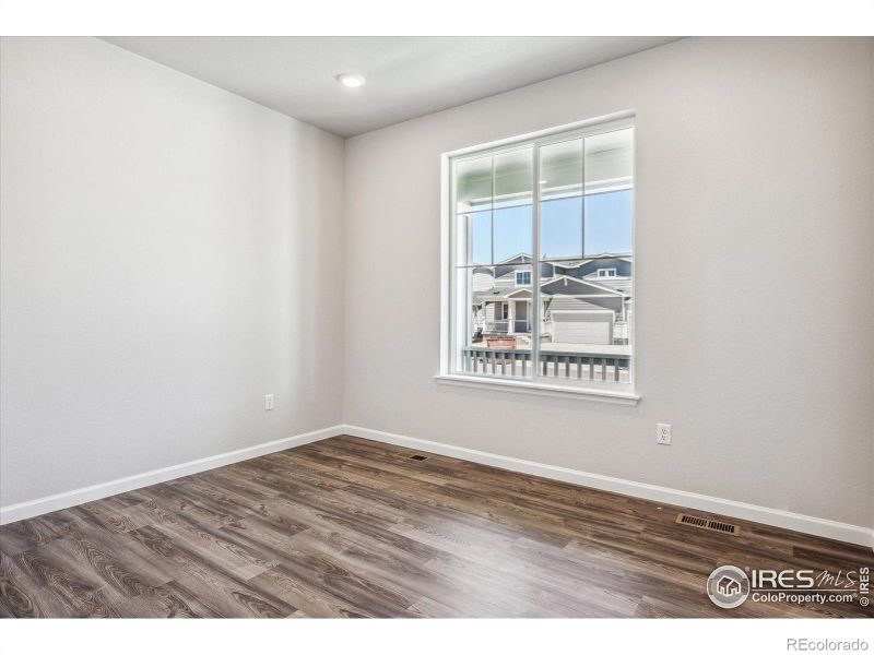 853 Hummocky Way, Windsor, CO 80550