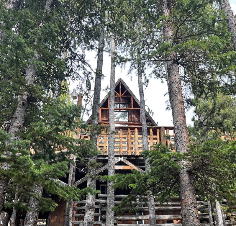 199 Crest Dr, Idaho Springs, CO 80452