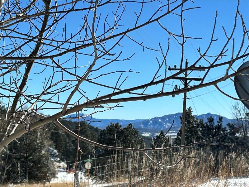 516 Sleepy Hollow Dr, Bailey, CO 80421