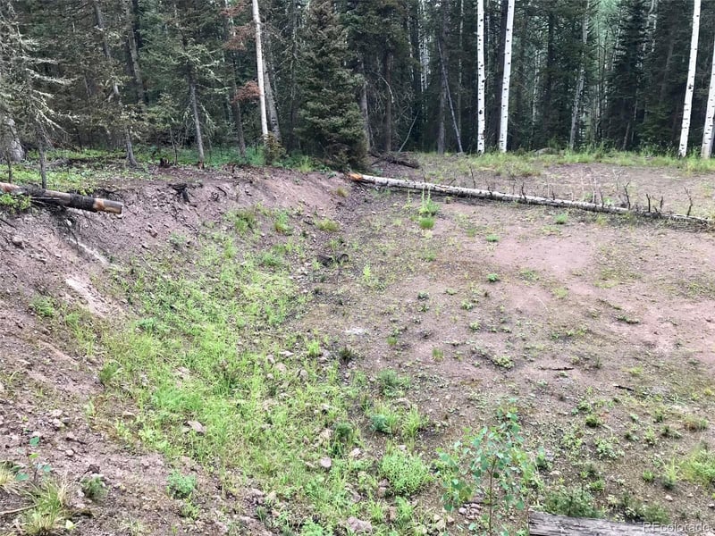 273 Crest Dr, Cimarron, CO 81220