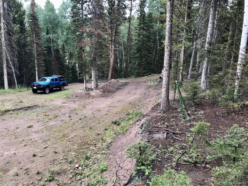 273 Crest Dr, Cimarron, CO 81220