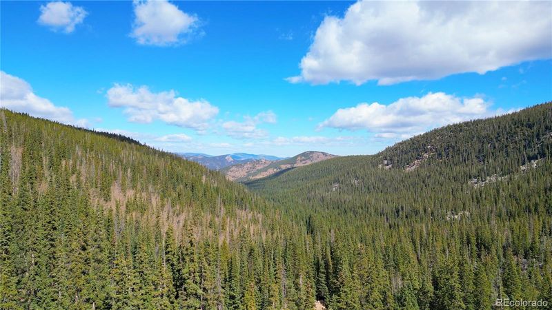 Middle Lot Chicago Creek Rd, Idaho Springs, CO 80452