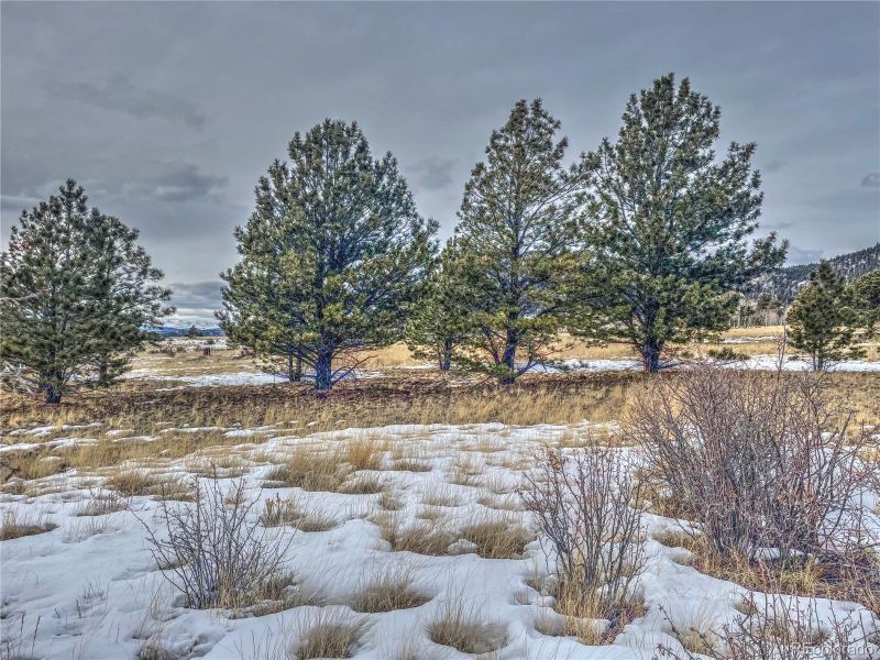 1975 Garfield Rd, Hartsel, CO 80449