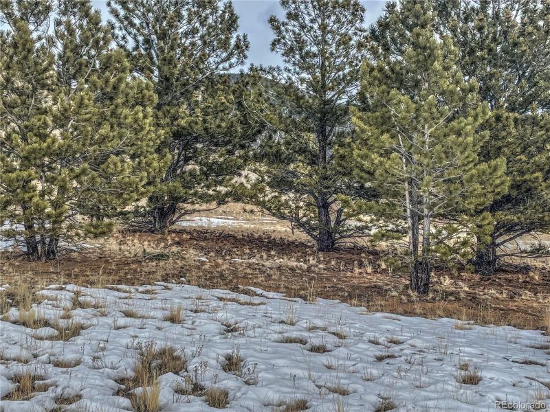 1975 Garfield Rd, Hartsel, CO 80449
