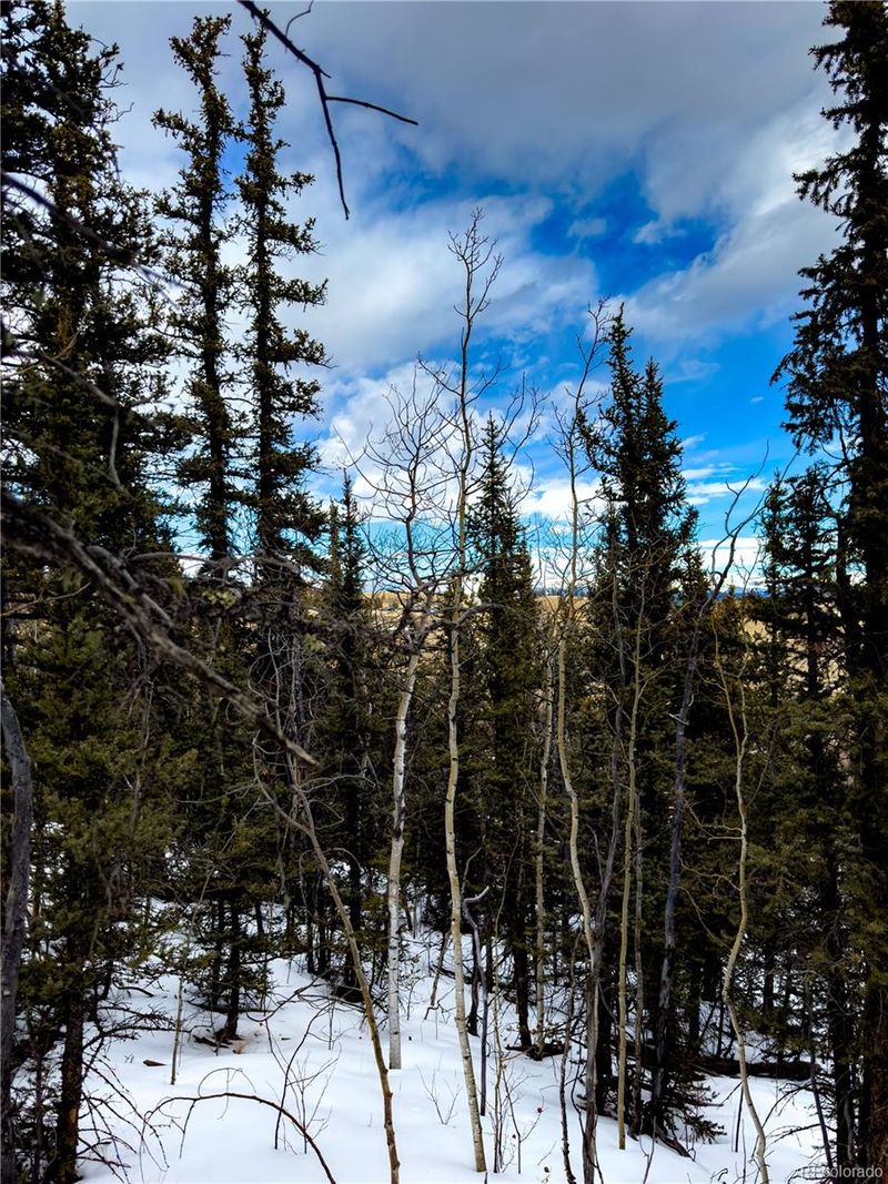 552 Apache Trl, Como, CO 80432